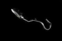 UKŁAD WYDECHOWY AKRAPOVIČ "RACING LINE" DO KTM 500 EXC-F