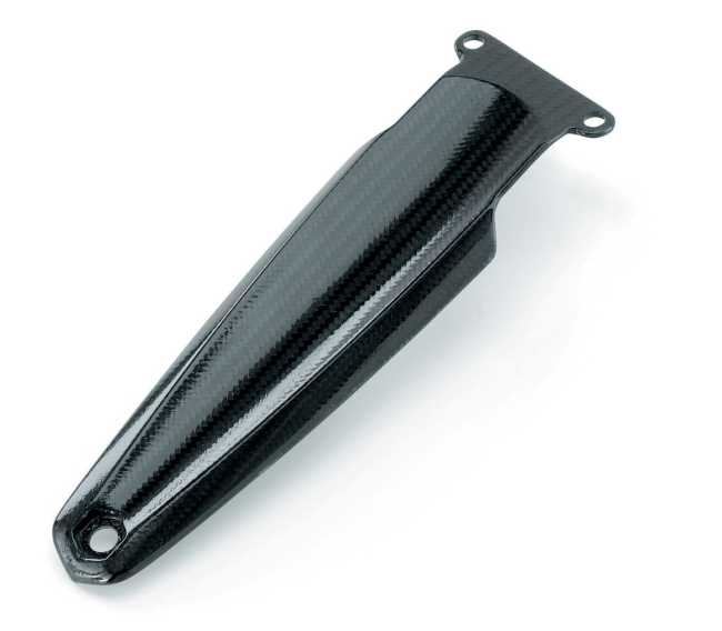 * CARBON FENDER BRACE